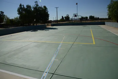ENSC00260.jpg